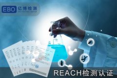 REACHⱨ棬REACH֤